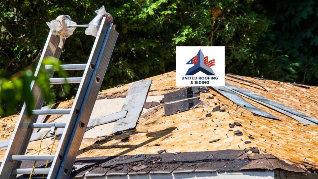 local roofing contractors